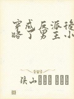 穿成反派后我攻略了男主小说封面