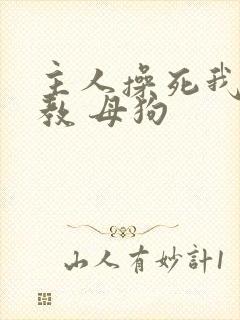 主人操死我 调教 母狗封面