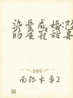 染爱成婚:陆少的蜜宠甜妻