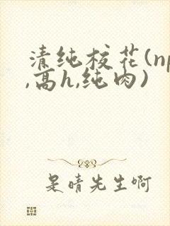 清纯校花(np,高h,纯肉)
