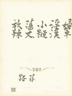 放荡小淫妇h肉辣文糙汉军婚软件