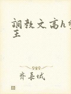 调教文高h双男主