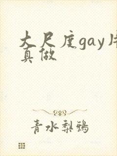 大尺度gay片真做