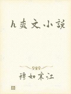 h爽文小说