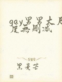 gay男男大尺度无删减