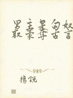 男主是匈奴的强取豪夺古言