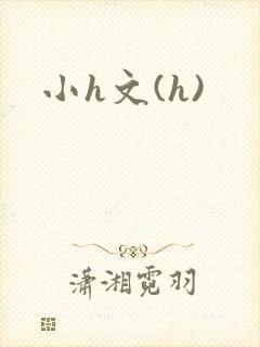 小h文(h)