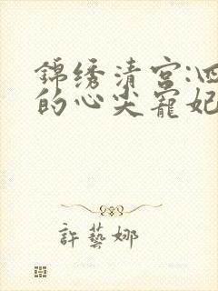 锦绣清宫:四爷的心尖宠妃 雪中回眸封面