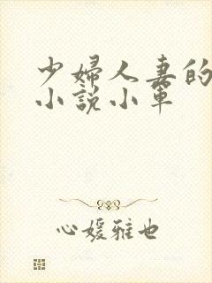 少妇人妻的欲望小说小军