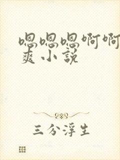 嗯嗯嗯啊啊啊好爽小说