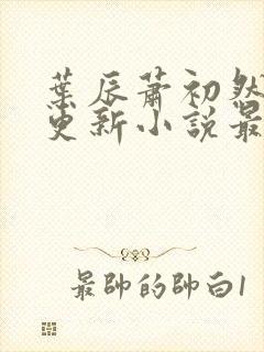 叶辰萧初然最快更新小说最新章节