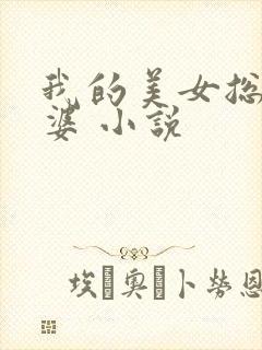 我的美女总裁老婆 小说