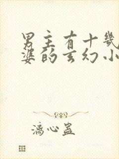 男主有十几个老婆的玄幻小说封面