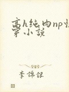 高h纯肉np快穿小说