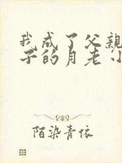 我成了父亲与妻子的月老 小说