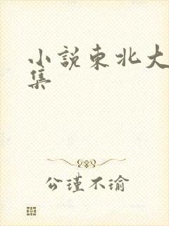 小说东北大炕全集