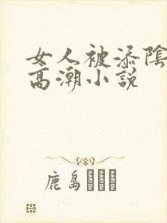 女人被添阴蒂的高潮小说