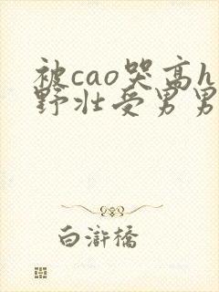 被cao哭高h野壮受男男