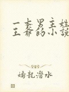 一本男主姓萧是王爷的小说封面