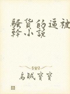 骚货的逼被男人干小说