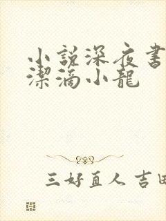 小说深夜书屋纯洁滴小龙