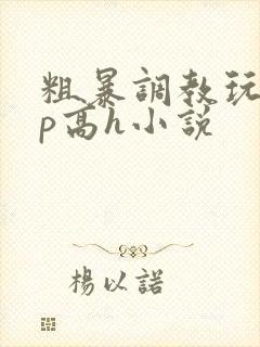 粗暴调教玩弄np高h小说