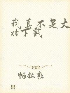 我真不是大佬txt下载