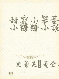 甜宠小笨蛋by小糖糖小说笔趣阁