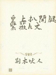 皇上扒开腿狂c紫薇h文