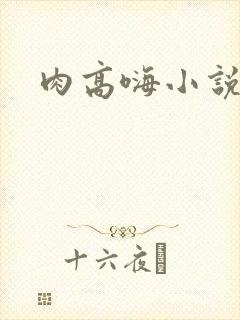 肉高嗨小说