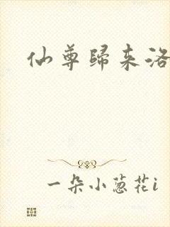 仙尊归来洛尘封面