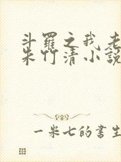 斗罗之我老婆是朱竹清小说