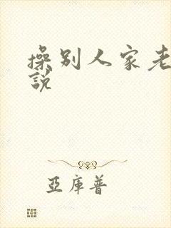 操别人家老婆小说