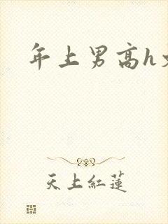 年上男高h文