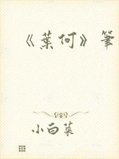 《叶何》笔趣阁封面