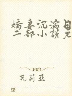 娇妻沉沦日记第二部小说免费阅读