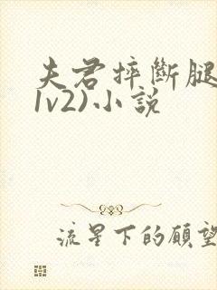 夫君摔断腿后(1v2)小说