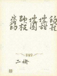 痞帅坏坏的校霸的校园甜宠文