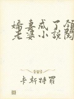 娇妻成了领导的老婆小说阅读全文下