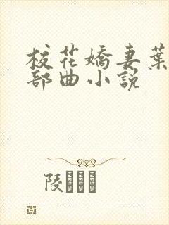 校花娇妻叶子三部曲小说