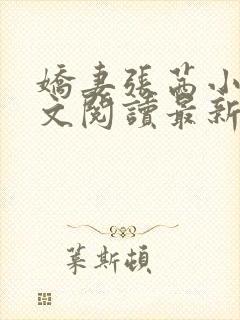 娇妻张茜小说全文阅读最新章节更新