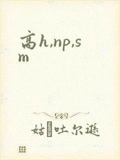 高h,np,sm