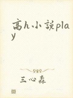 高h小说play