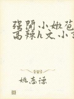 强开小嫩苞h文高辣h文小说封面