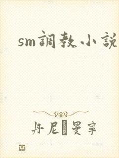 sm调教小说h