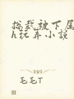 总裁被下属调教h玩弄小说