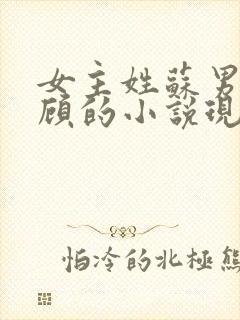 女主姓苏男主姓顾的小说现代言情