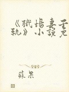 《职场妻子的出轨》小说免费阅读