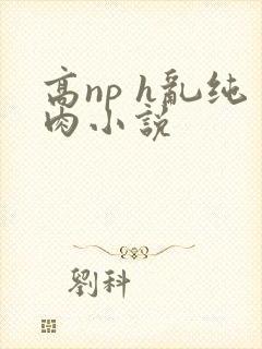 高np h乱纯肉小说