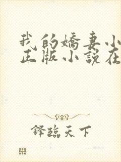 我的娇妻小欣儿正版小说在线阅读封面